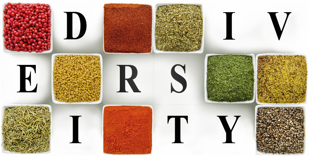 Diversity - Circuit Mag 22